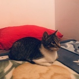 Zoe